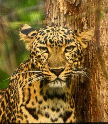 Kings Sanctuary Image